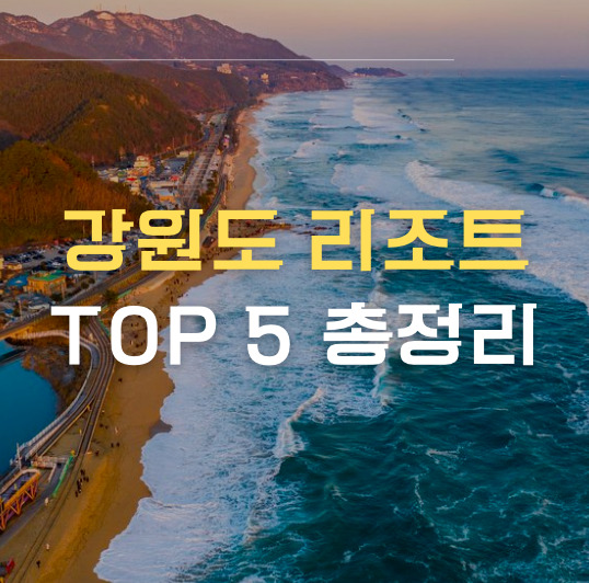 강원도 리조트 top 5 썸네일