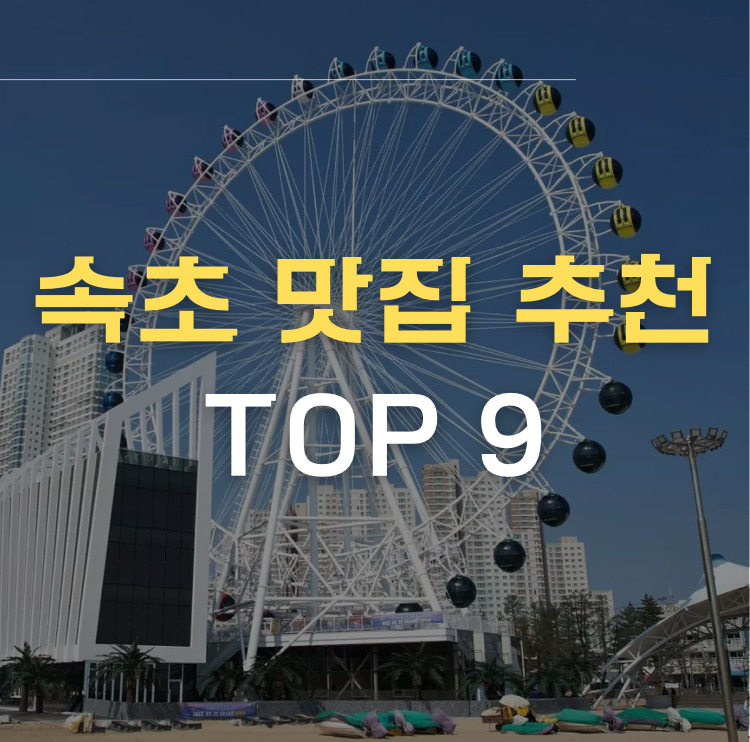 속초 맛집 추천 썸네일